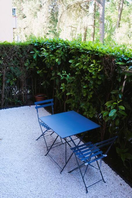 Studio Climatise Et Spacieux Situe Pres Des Parcs 维琪 外观 照片